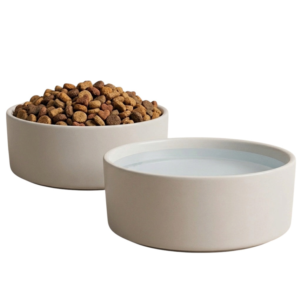 Feeding / Bowls & Accessories